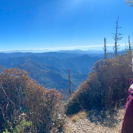 10 Unforgettable Things to Do in the Great Smoky Mountains National Park