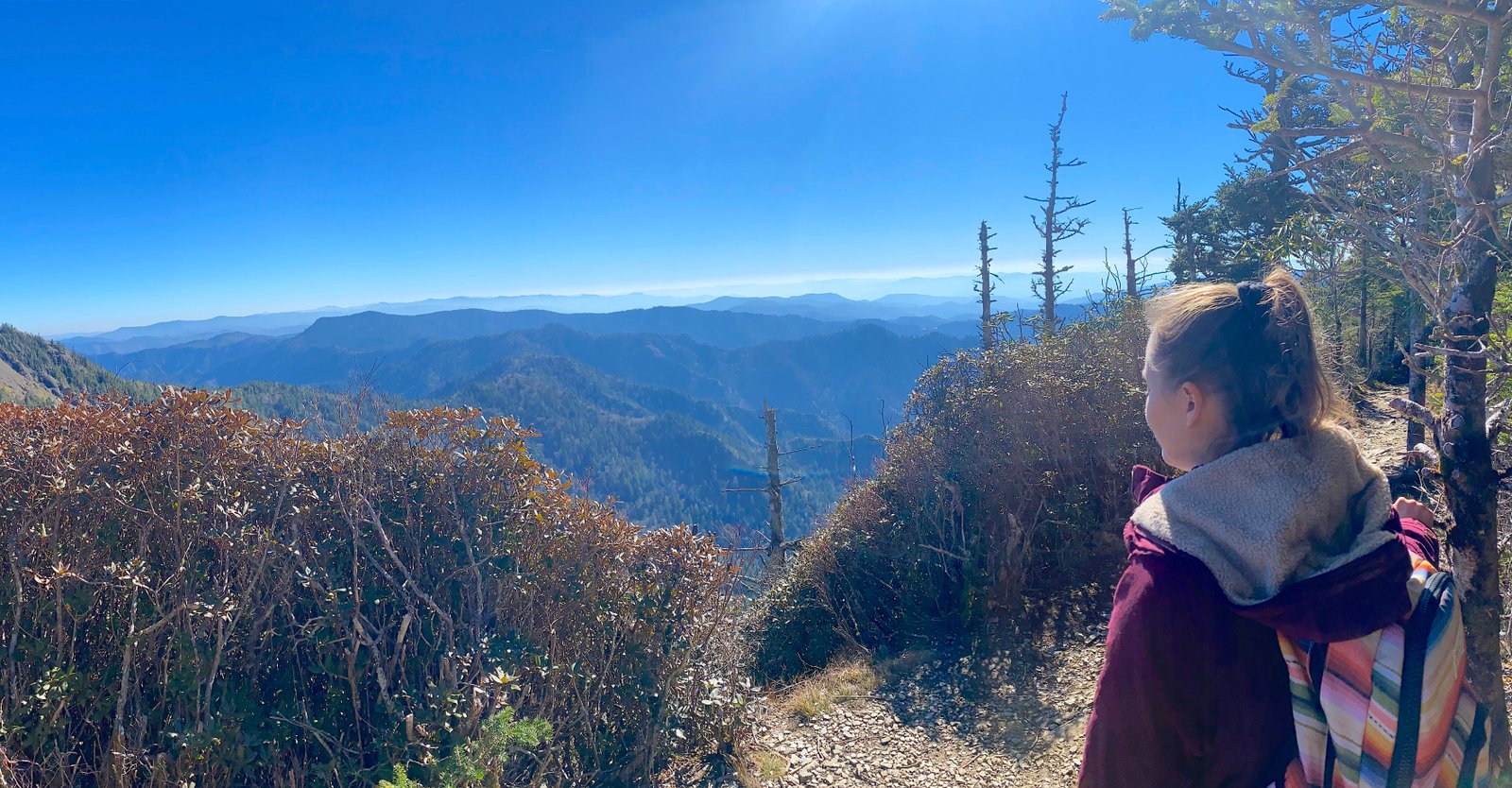 Hiker looking out over the panoramic blue ridge mountain views from the summit near Mount LeConte in Great Smoky Mountains National Park.