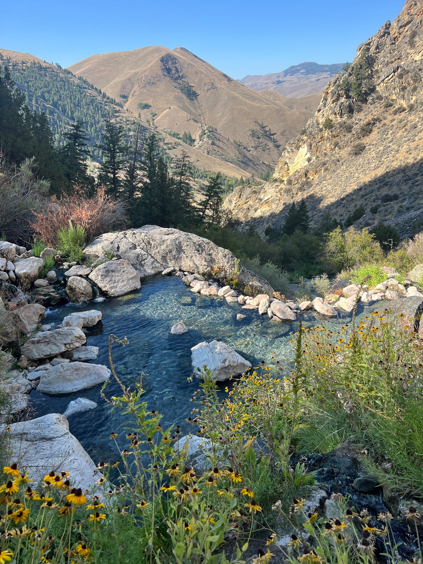 View of the top pool at Goldbug Hot Springs surrounded by vibrant wildflowers with clear blue skies and mountains in the distance.