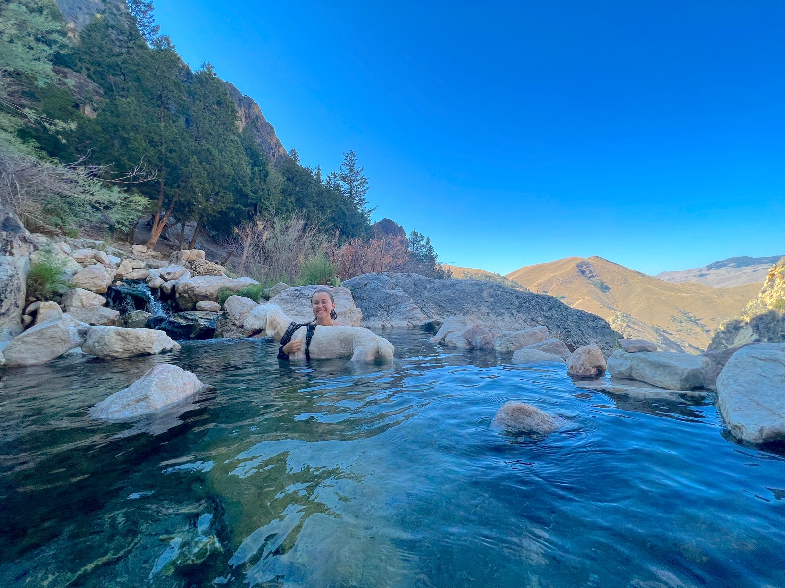 A woman and her dog sitting together in a warm pool at Goldbug Hot Springs, surrounded by mountains.