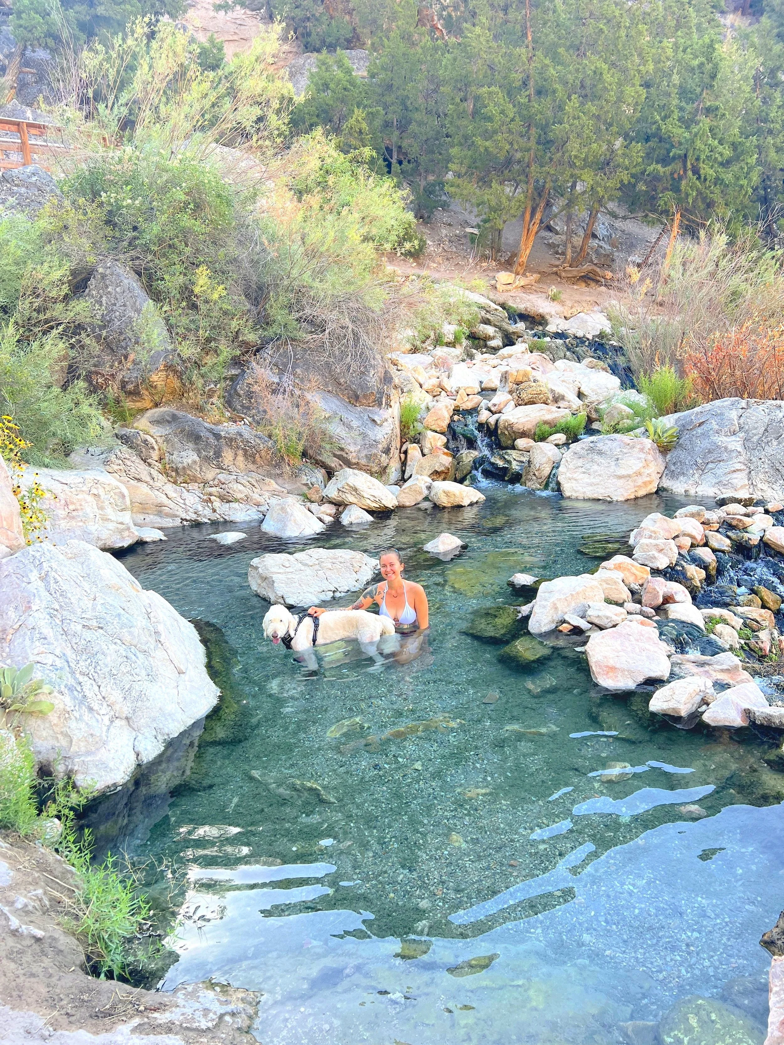Wide view of a woman and her dog sitting inside a large natural thermal pool at Goldbug Hot Springs.