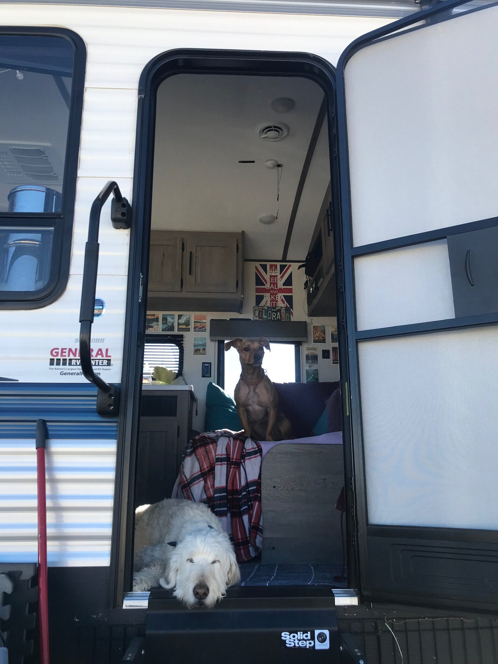 Two dogs sitting inside the doorway of a travel trailer RV at a desert campsite near Lajitas, Texas.