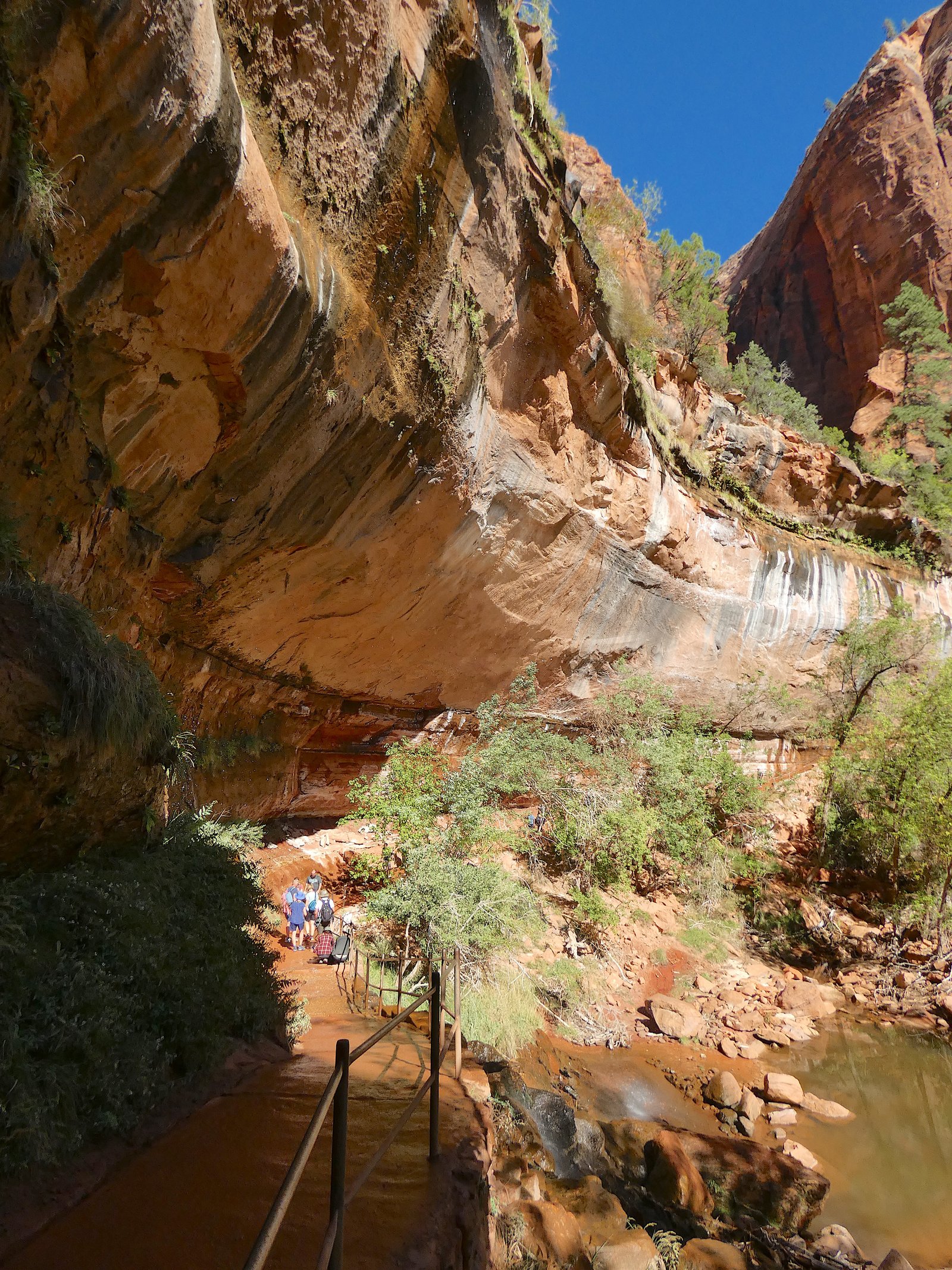 Hikers walking on the Emerald Pools trail beneath a massive red rock alcove and dripping water in Zion National Park