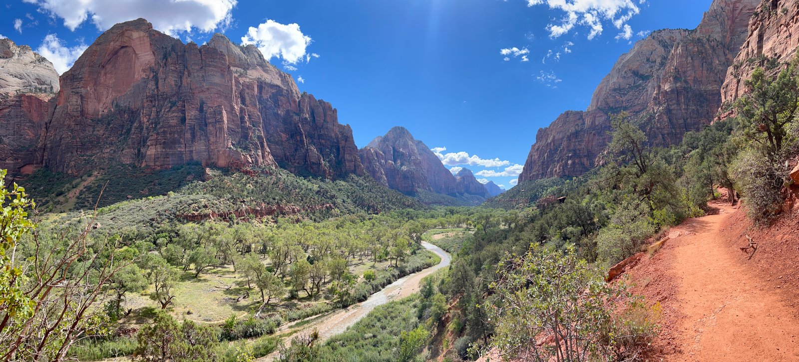 Wide angle view of the sunny Kayenta Trail carved into the red rock cliffside overlooking Zion Canyon