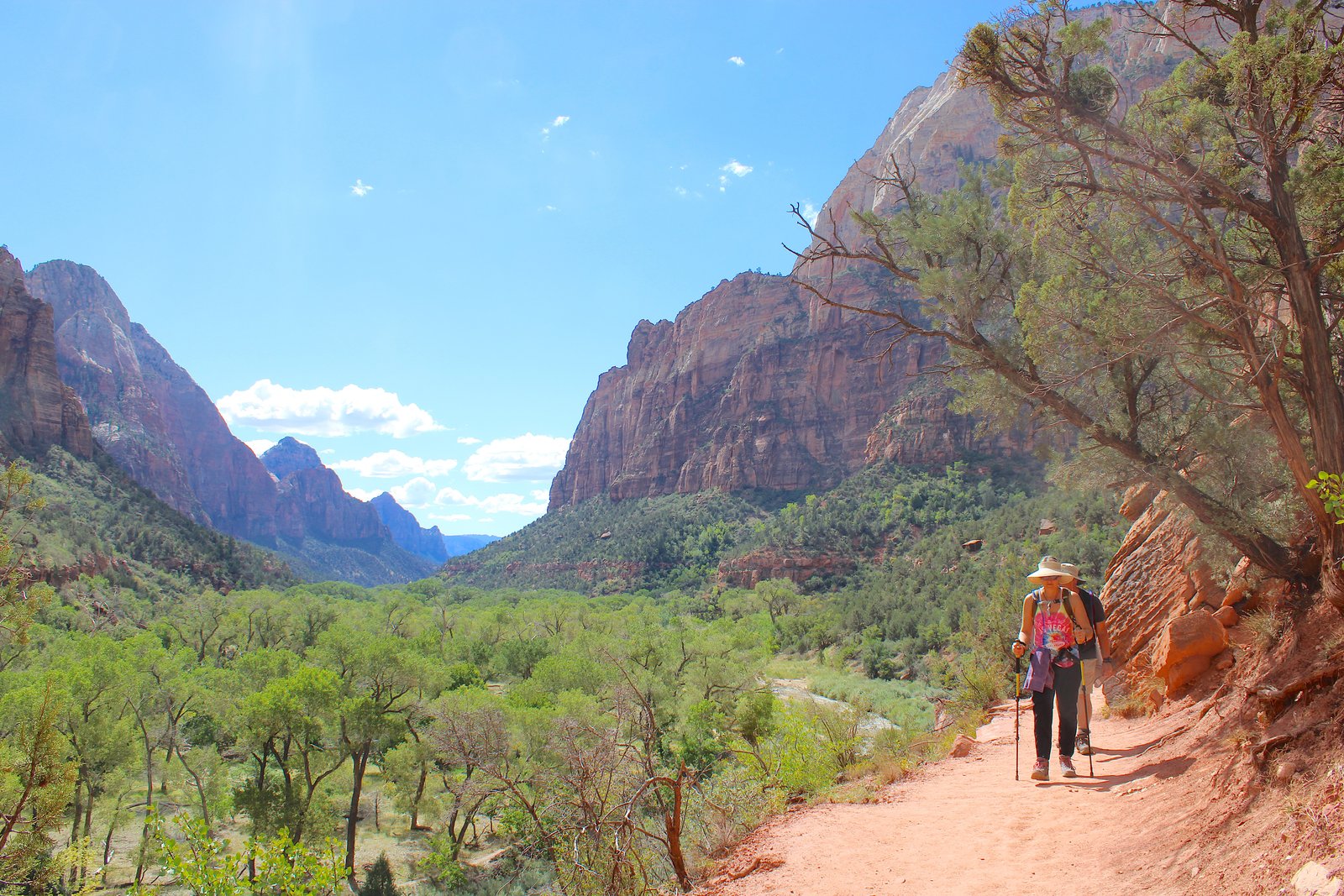Hikers wearing wide-brim hats and backpacks while hiking with poles on the Kayenta Trail in Zion National Park