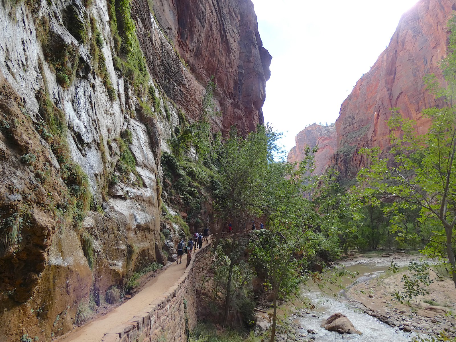 Paved Riverside Walk trail winding along the towering rock walls and hanging gardens in Zion National Park