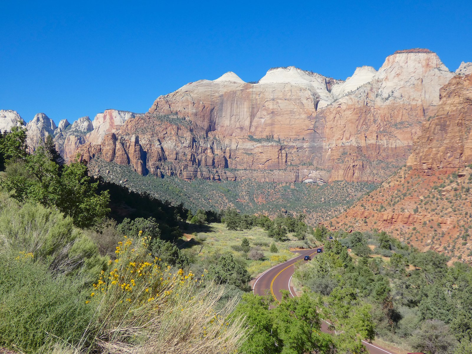 Paved road winding through towering red and cream sandstone canyon walls in Zion National Park under a bright blue sky.