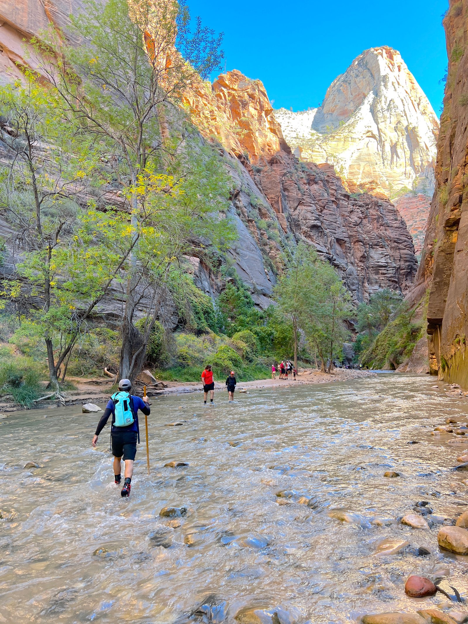 A hiker stepping into the flowing Virgin River where the paved Riverside Walk ends at the start of The Narrows in Zion National Park.