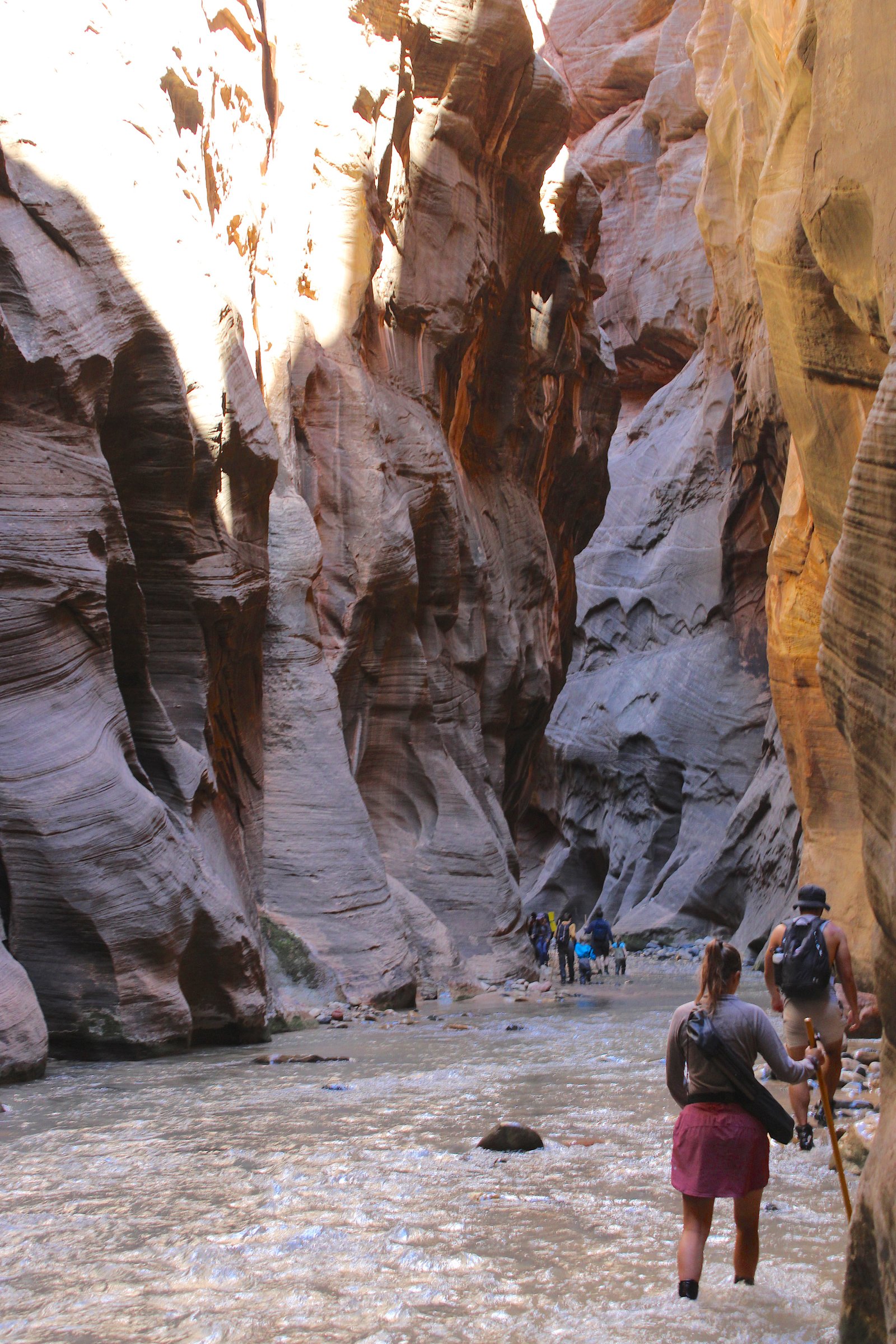 A hiker walking calf-deep along the calm edge of the river in The Narrows at Zion National Park.