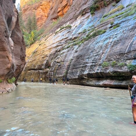 Zion National Park Travel Guide: Everything You Need to Know Before You Go