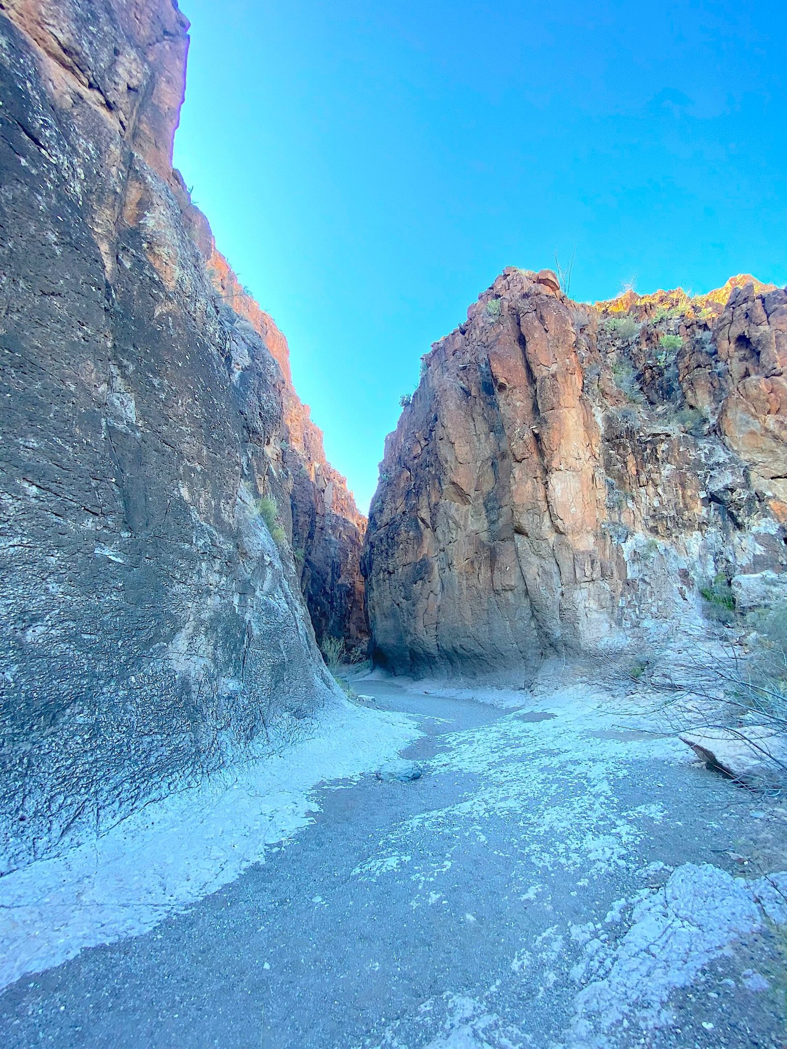 Entrance of Closed Canyon trail surrounded by steep vertical limestone walls in Big Bend Ranch State Park.