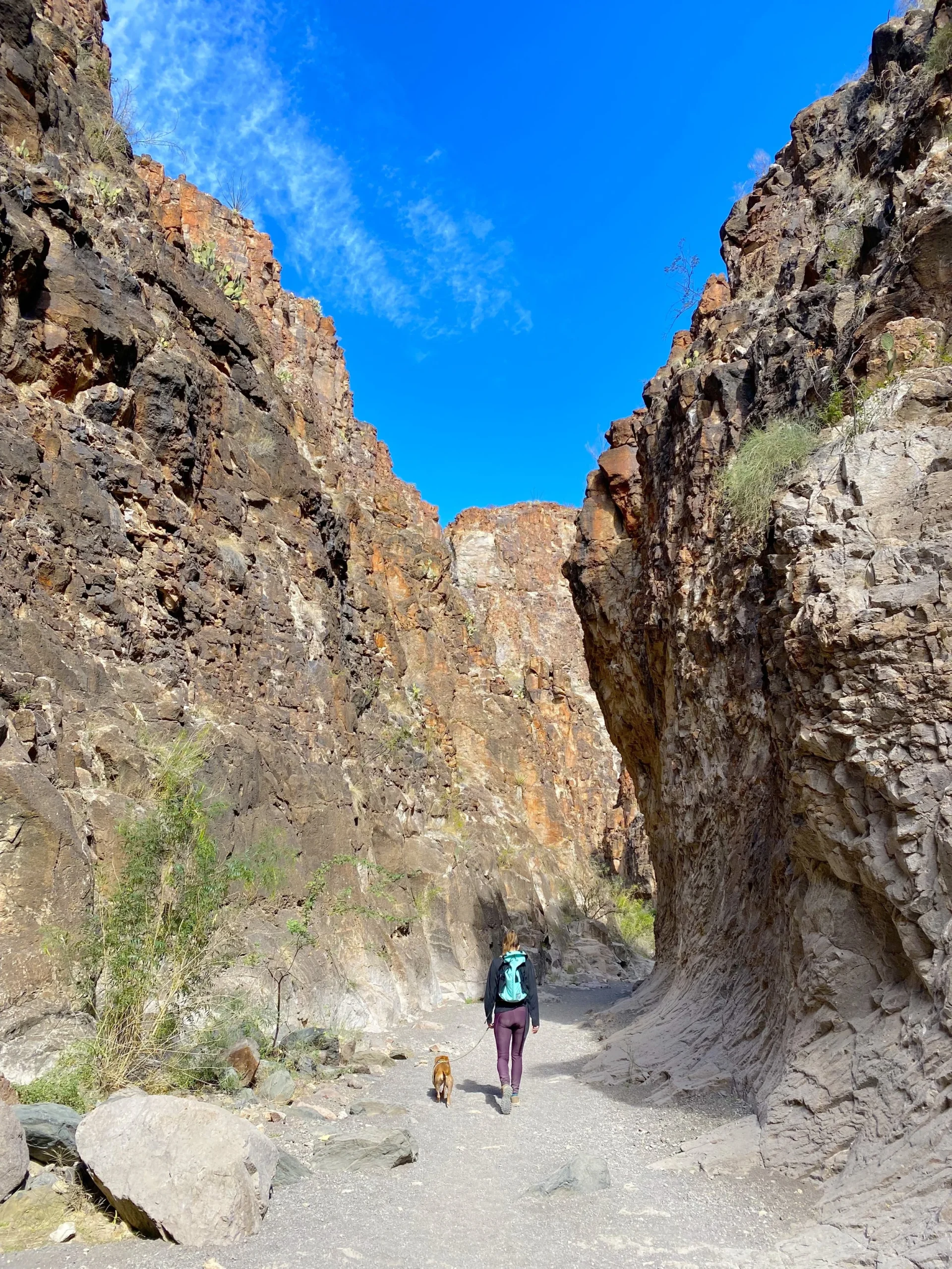 Hiker and dog exploring the narrow rock walls of Closed Canyon in Big Bend Ranch State Park.