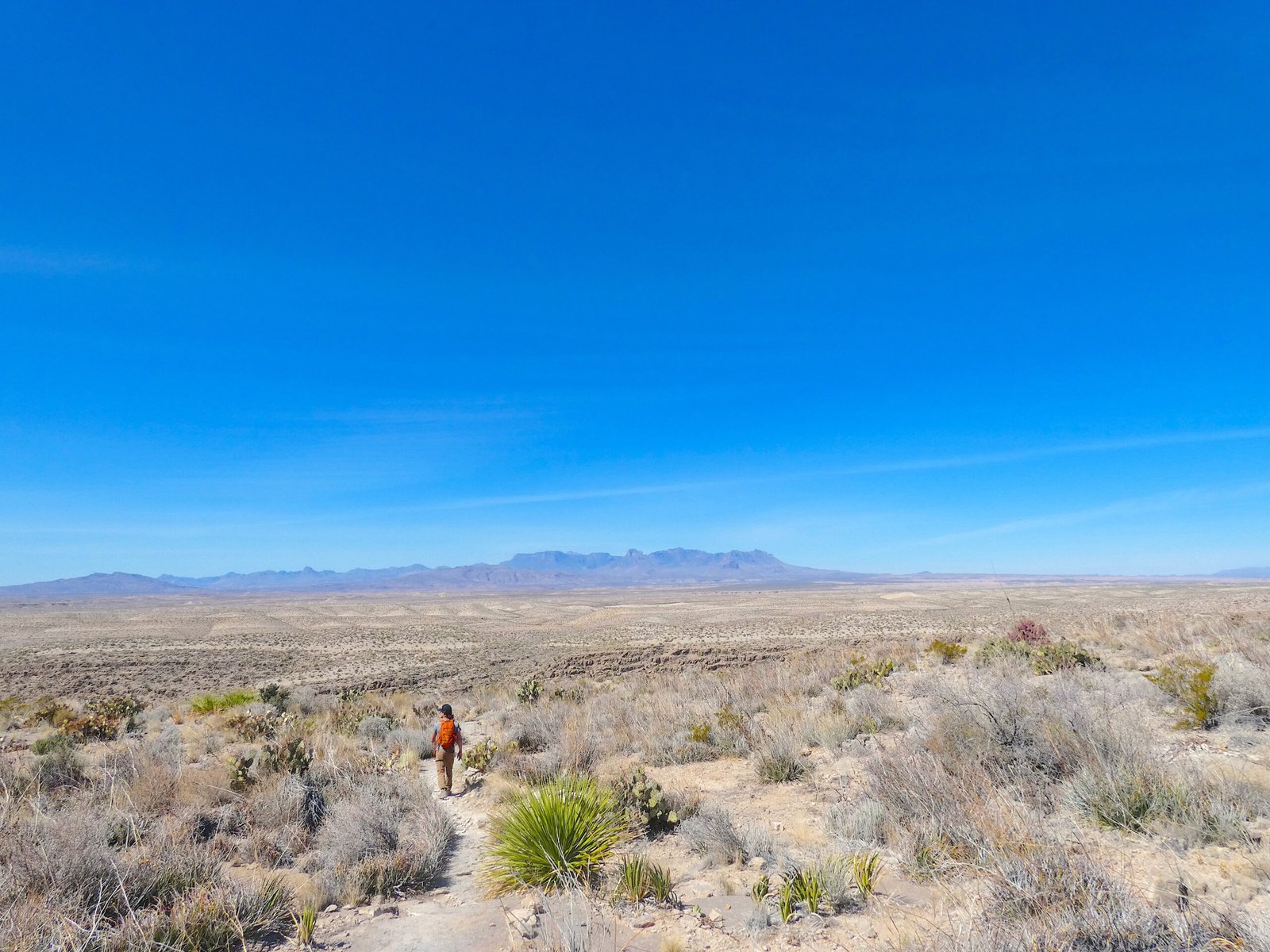 Panoramic wide view of vast open desert plains leading to distant mountains in West Texas.
