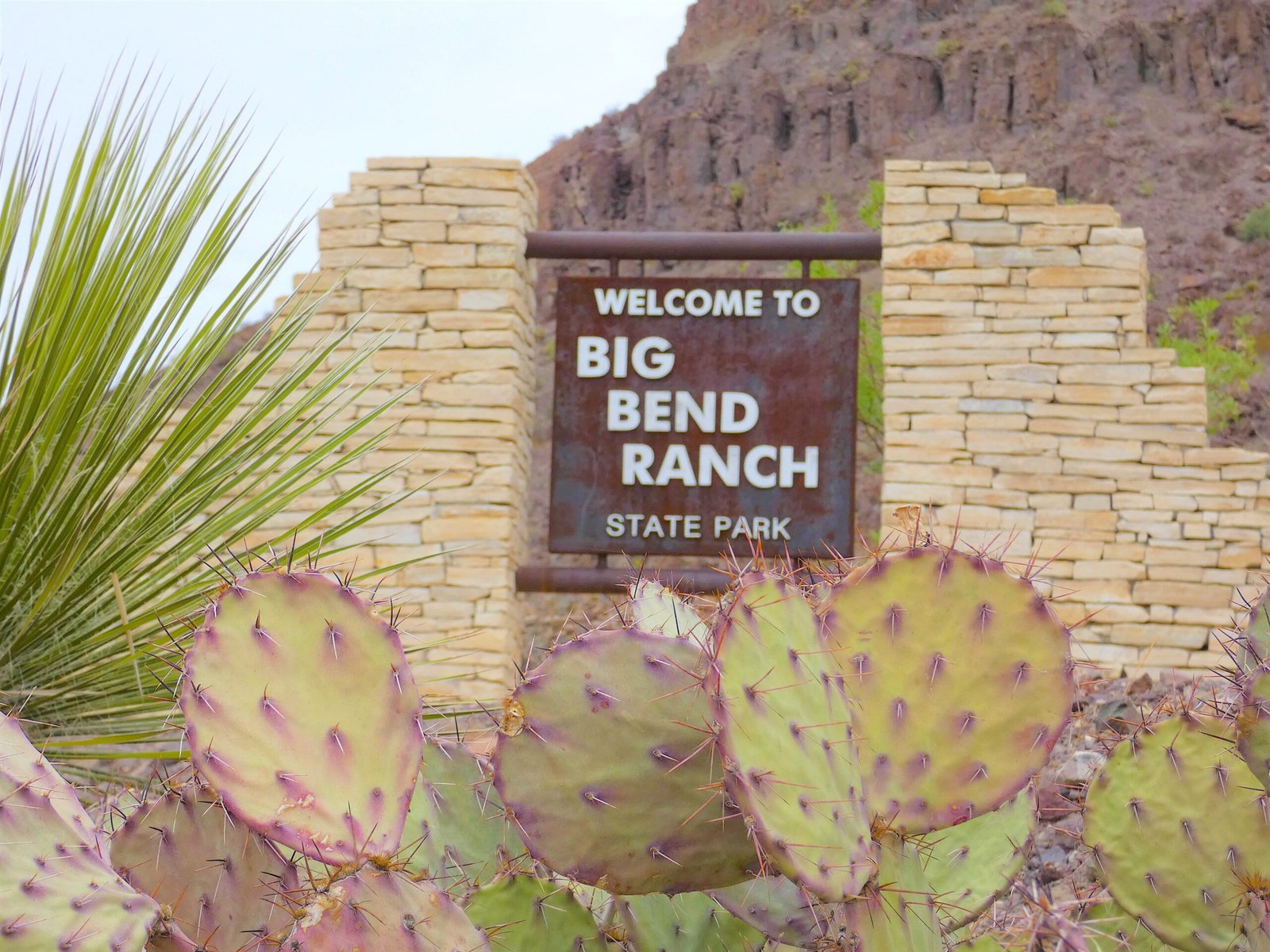Welcome to Big Bend Ranch State Park stone entrance sign framed by prickly pear cactus in West Texas.
