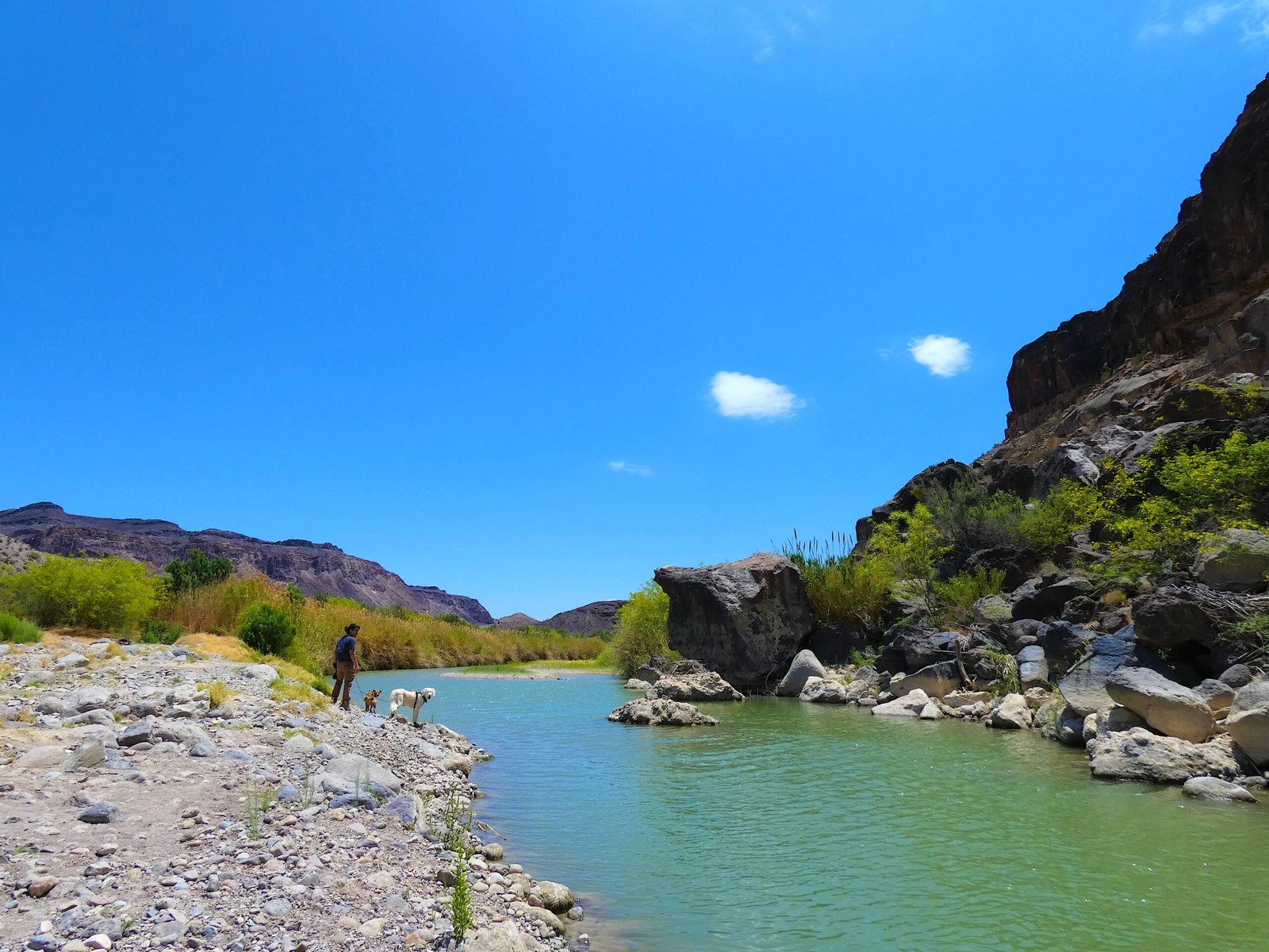Man and dogs walking along the Rio Grande shoreline with Mexican mountain peaks in the background at Big Bend Ranch State Park.