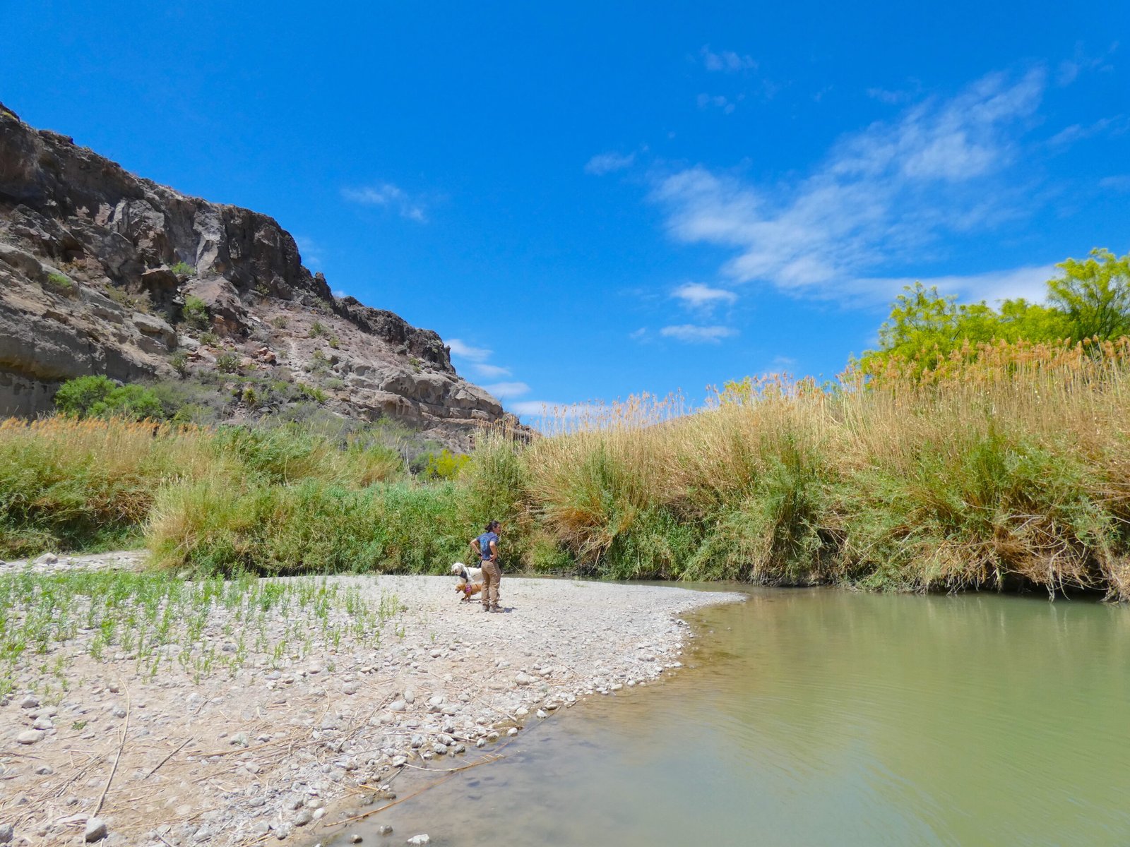 Hiker and dogs standing on a gravel river bar island along the Rio Grande surrounded by desert mountains.