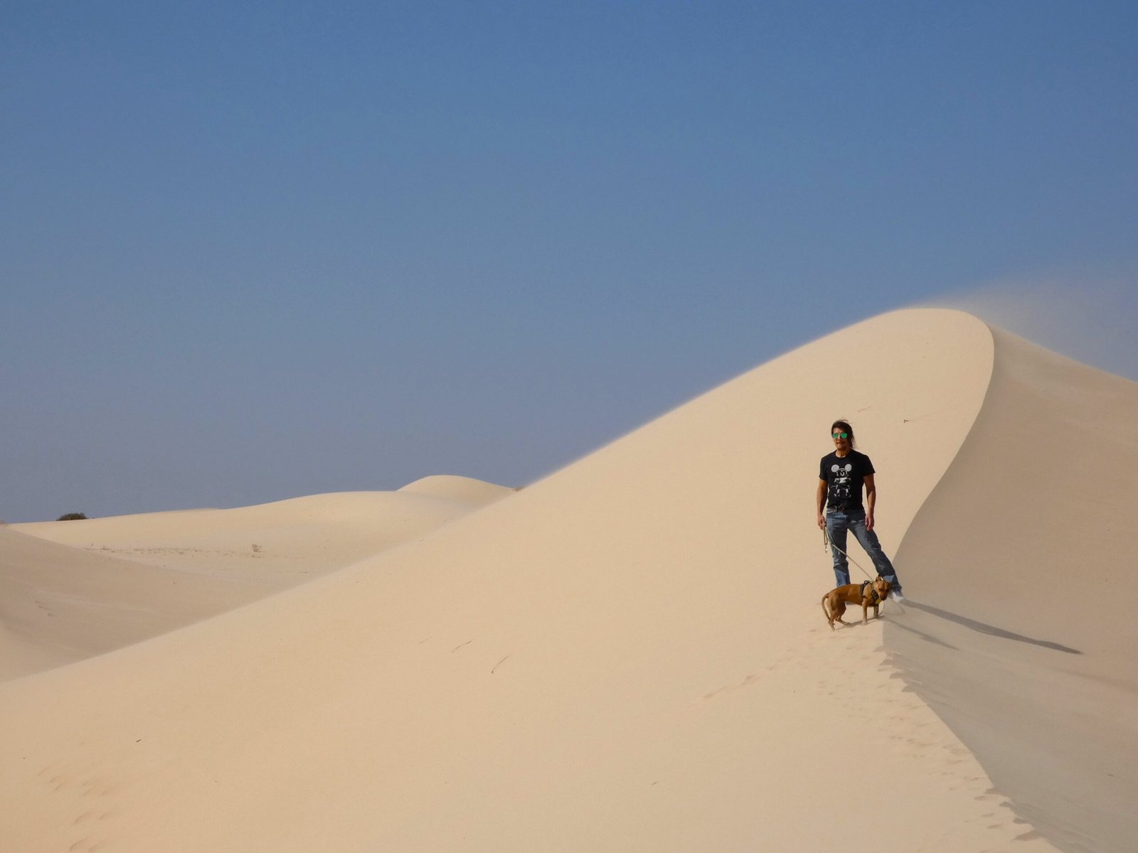 A man and his small dog walking on a large white sand dune in Monahans Sandhills State Park, West Texas.