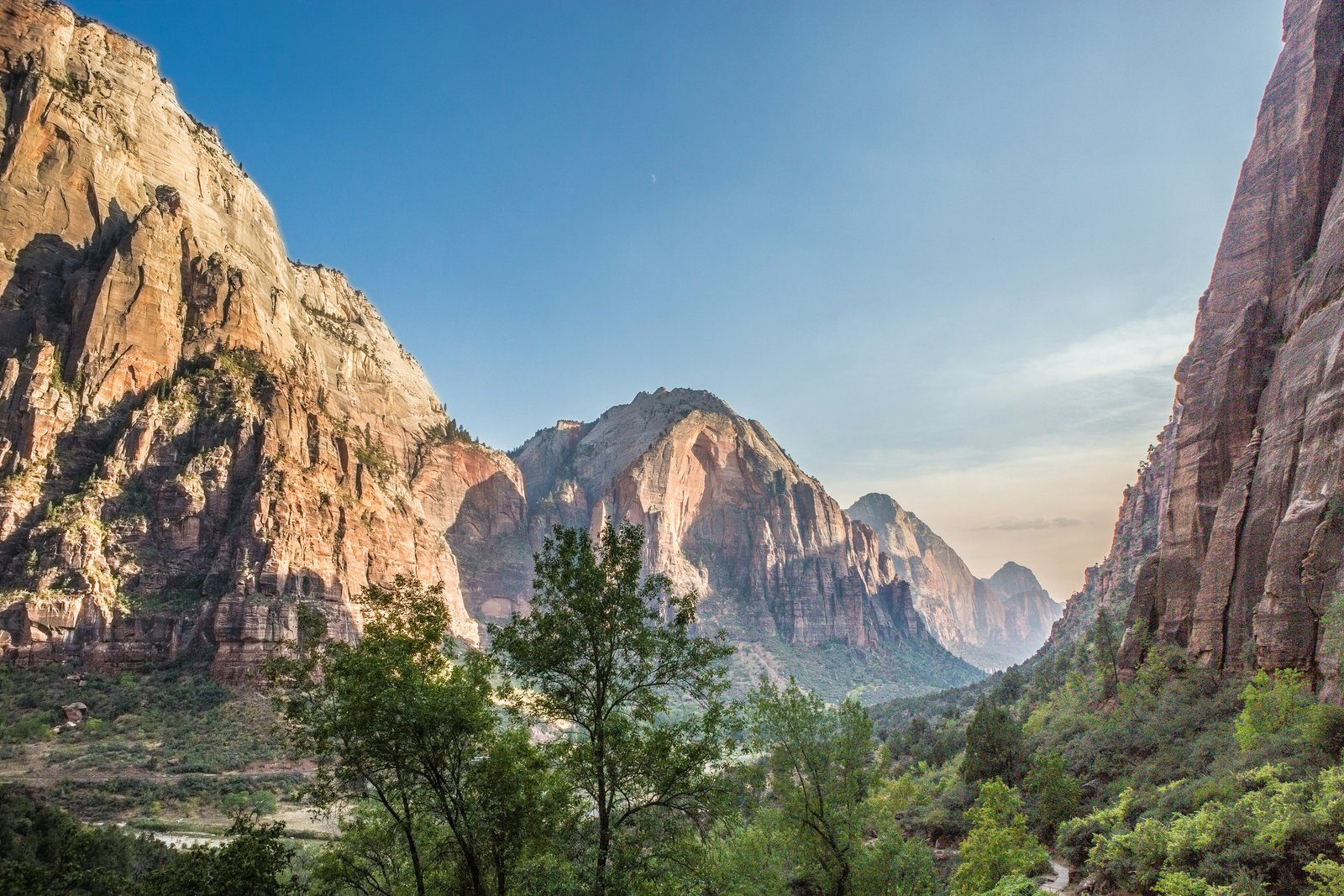 Towering sandstone canyon walls framing lush green trees along the scenic drive in Zion National Park under clear blue skies.