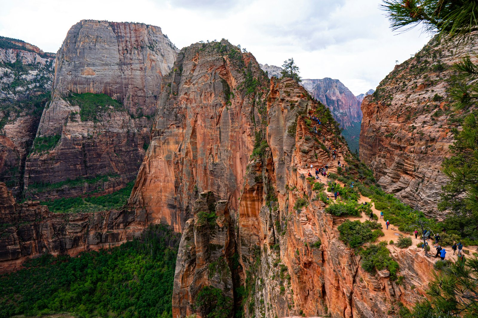 Wide angle view of hikers climbing the narrow ridge along the Angels Landing trail in Zion National Park