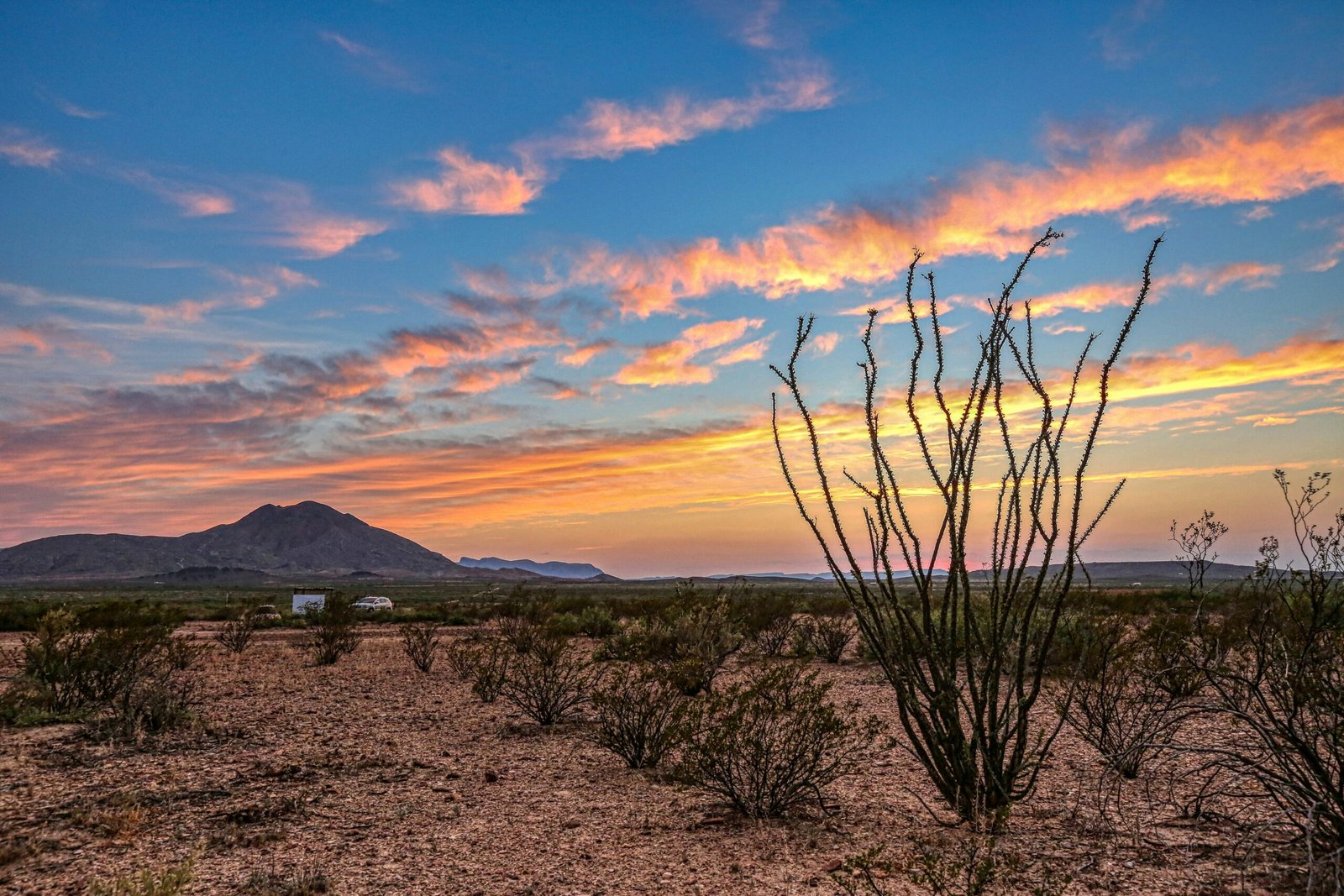 Vibrant orange desert sunset with an ocotillo cactus silhouette near Terlingua, Texas.