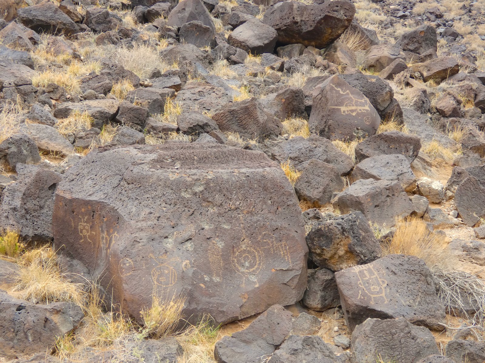 Ancient petroglyphs carved onto dark volcanic basalt boulders along a desert trail at Petroglyph National Monument.