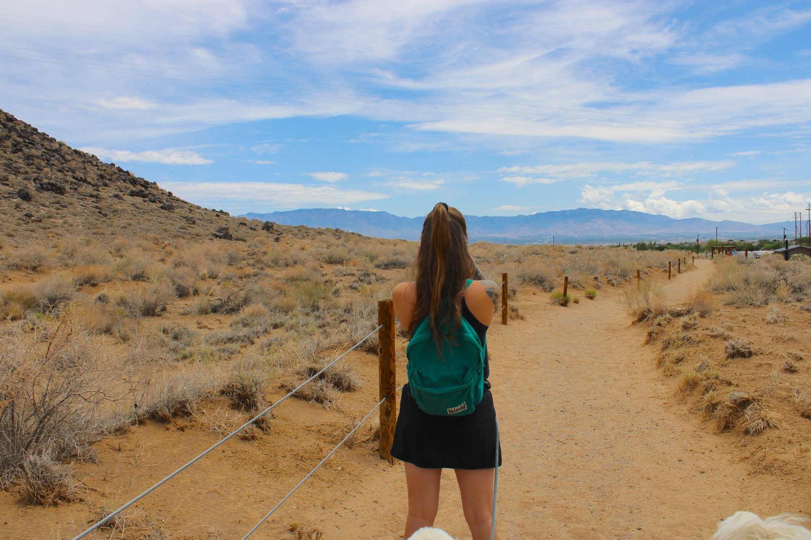 A hiker looking out at the trail with volcanic basalt boulders and the Sandia Mountains in the background at Petroglyph National Monument.