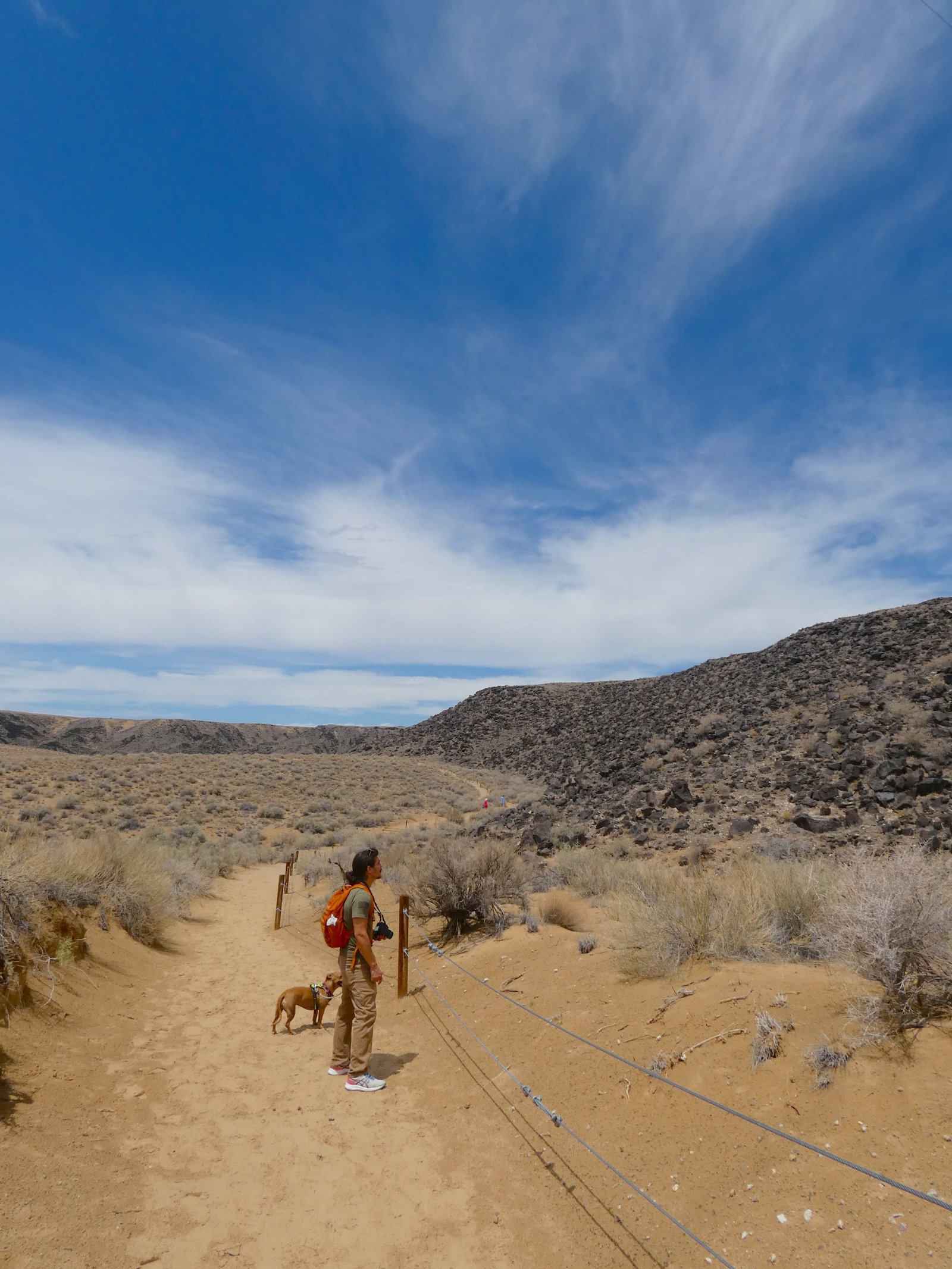 A hiker and dog looking up at the dark volcanic basalt rock walls along a trail at Petroglyph National Monument.