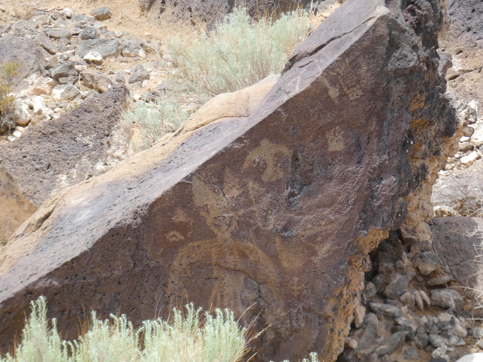 Multiple ancient petroglyph carvings of symbols and figures on a single volcanic basalt rock.