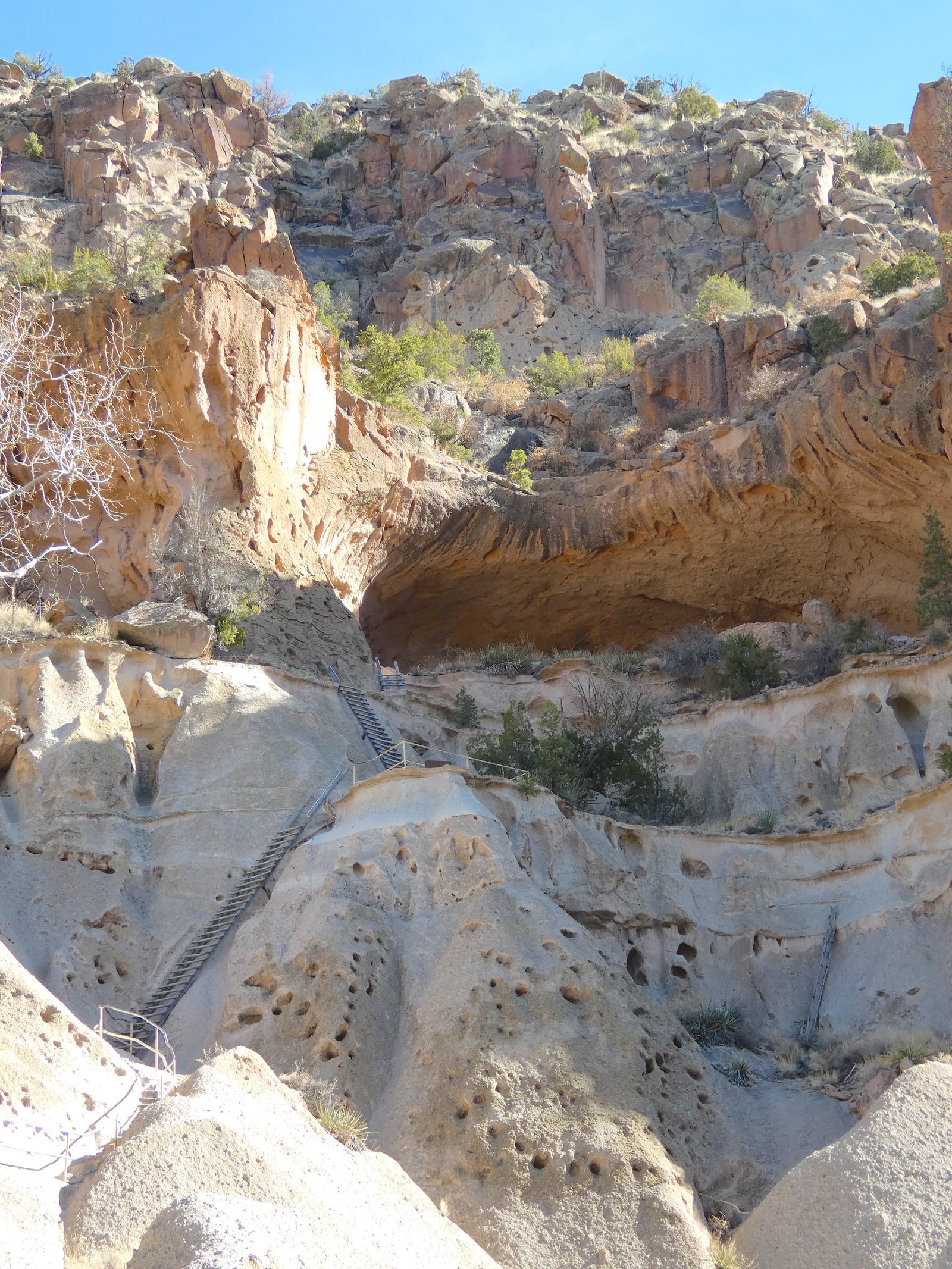 A wide shot of the towering cliff face showing the series of wooden ladders leading up to Alcove House at Bandelier National Monument.