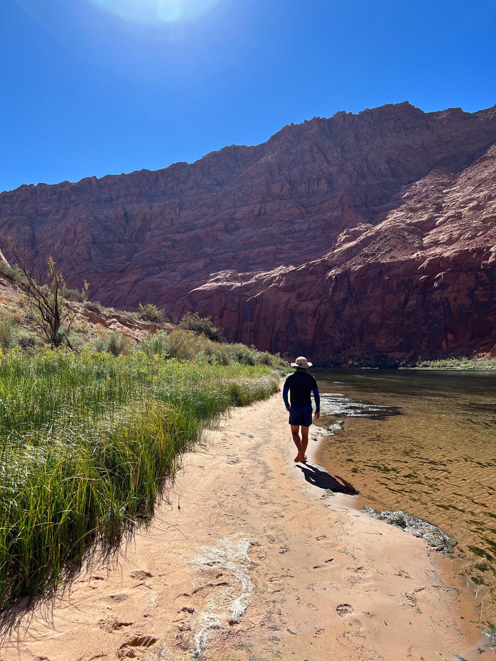 a person walking along shoreline 