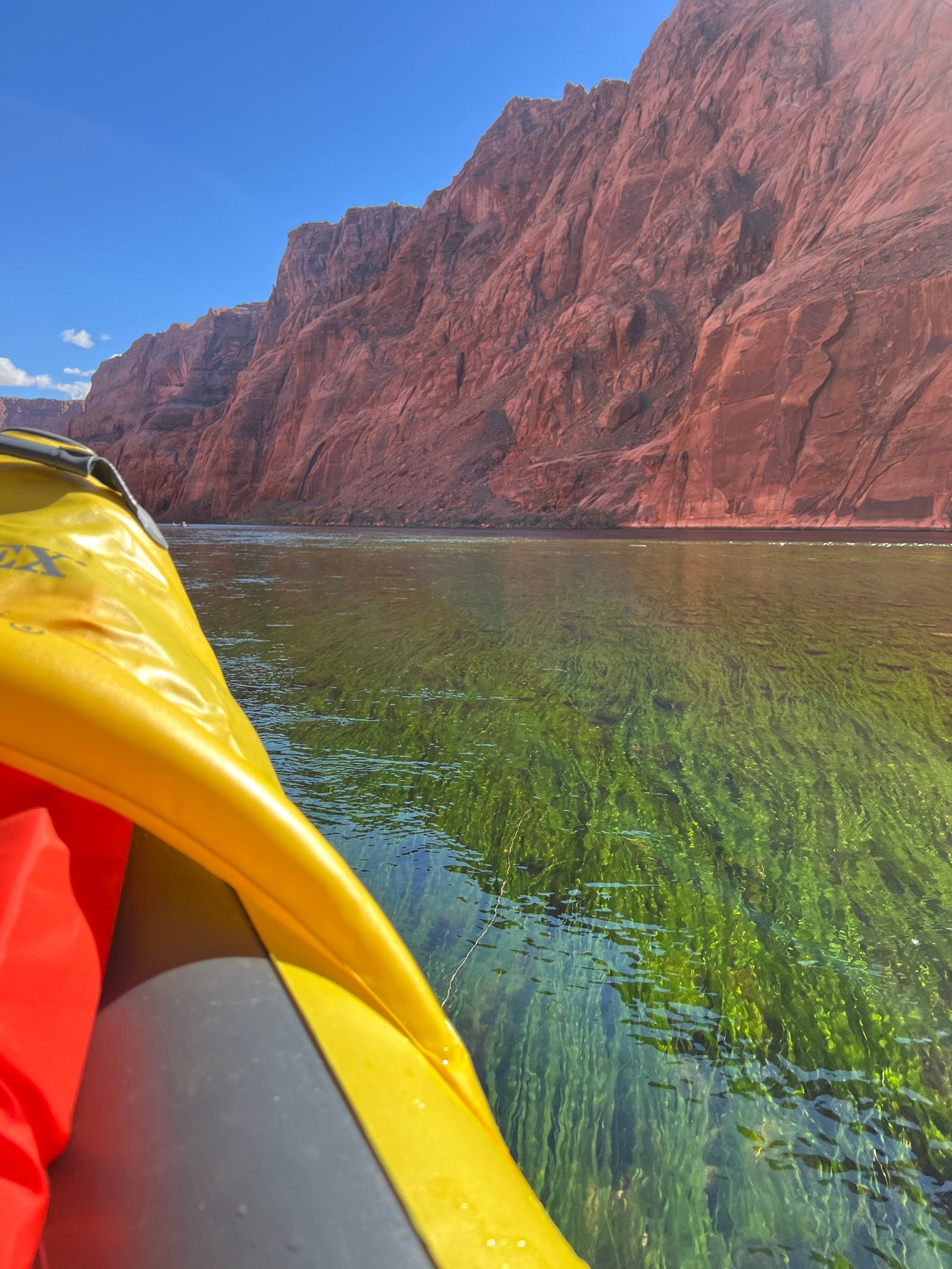 close up of kayak next to aquatic grass in the river