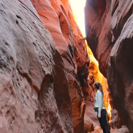 Grand Canyon RV Camping Guide: Best Campgrounds, Hookups & Reservations at the South & North Rim