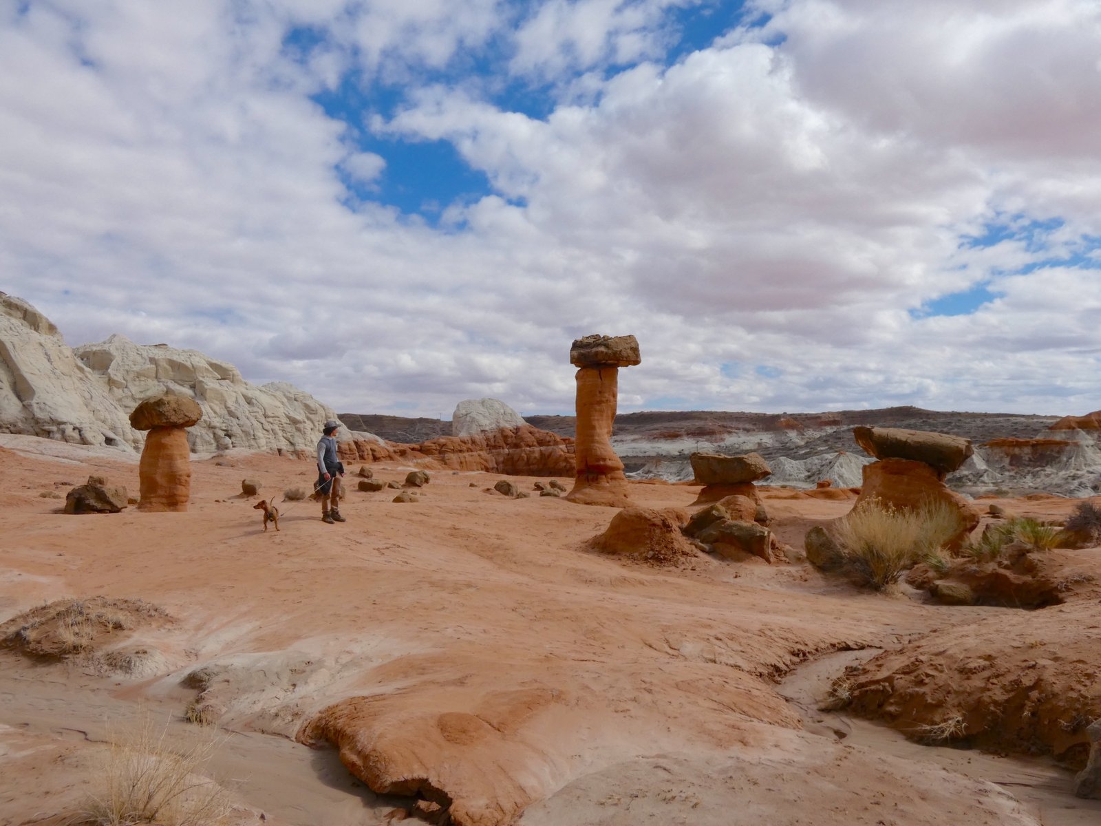 person and dog standing on orange sandstone amongst tall orange rock formations
