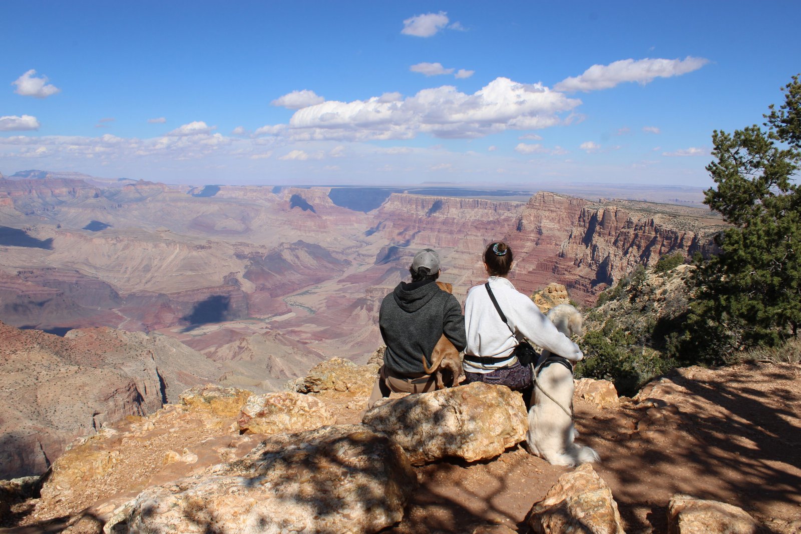 How to Spend One Day at Grand Canyon National Park - TRAVEL WITH MIKE & DEE