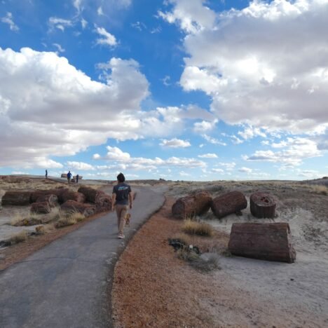 11 Great Ways to Experience Page Arizona
