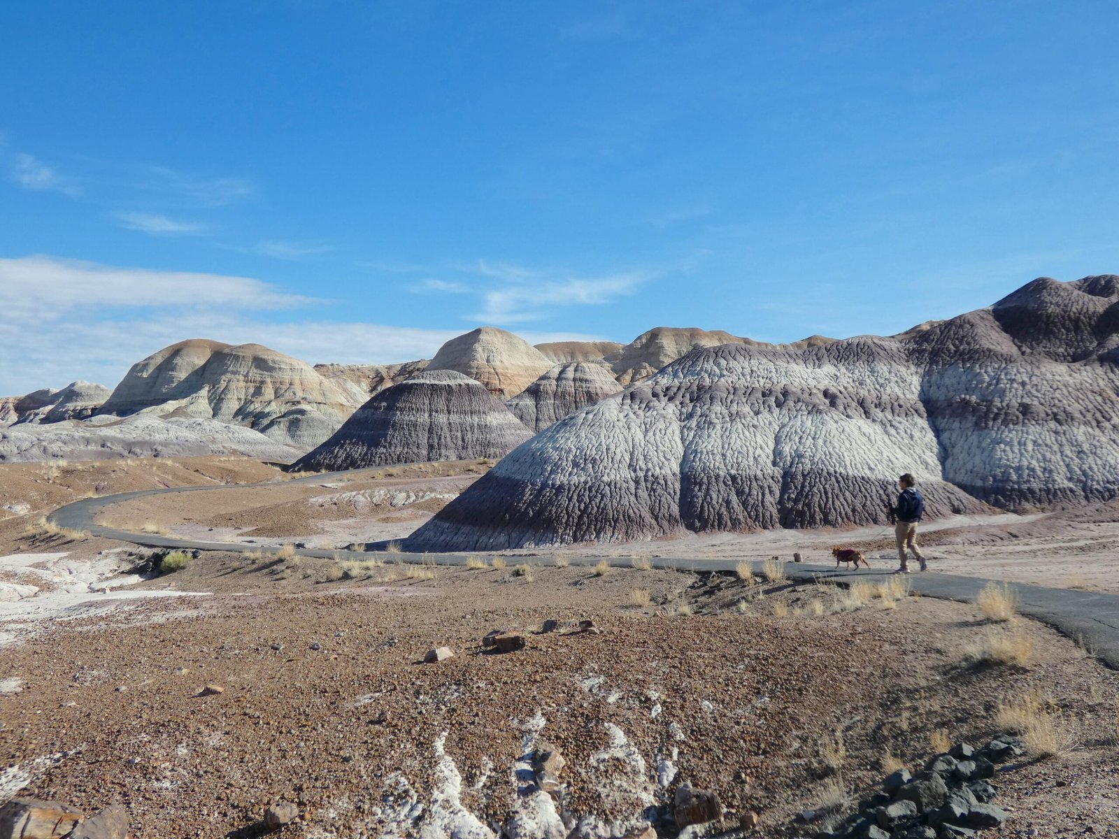 person and dog walking on paved path with blue mesas behind them