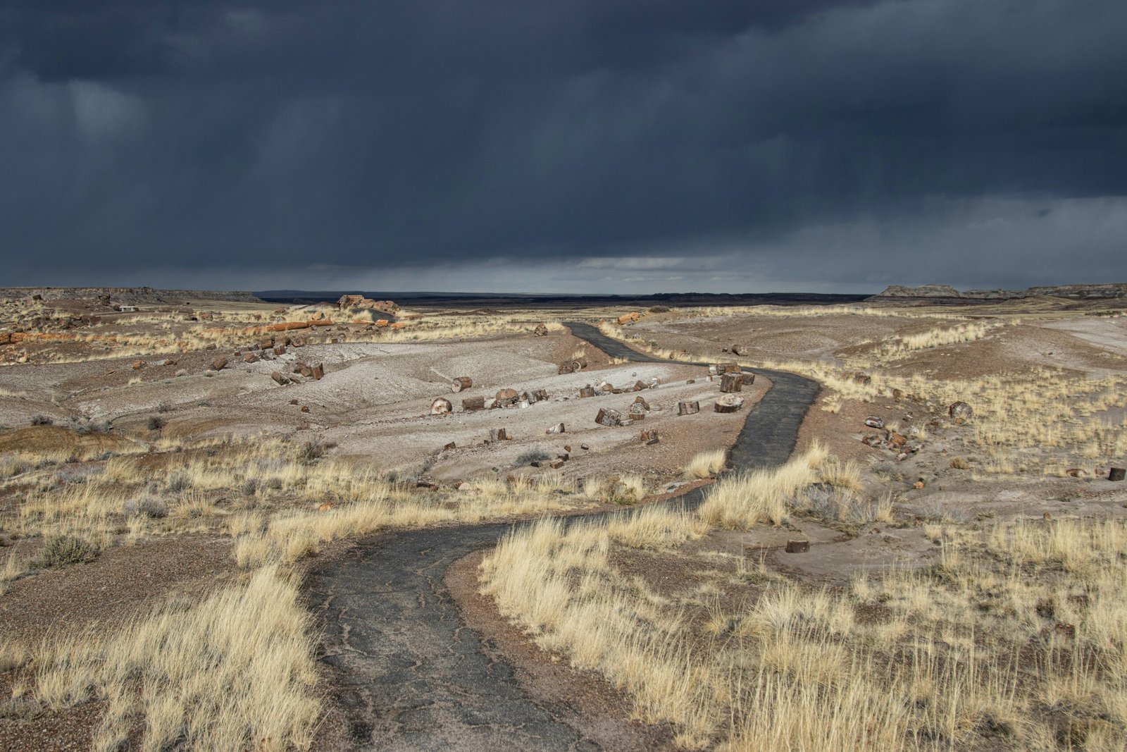 Summer thunderstorms in Petrified Forest National Park.
