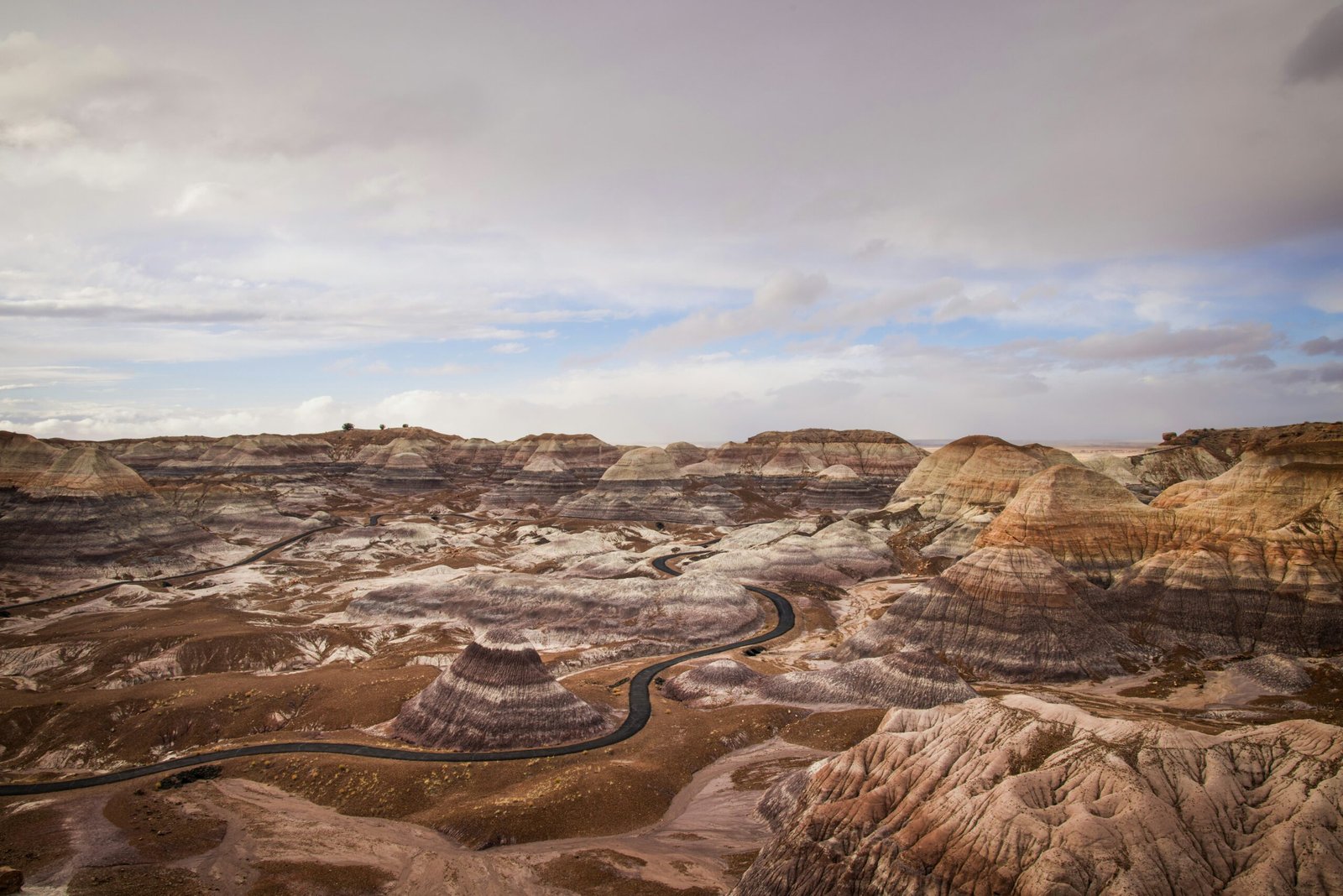 Overlook of the Blue Mesa Trail.