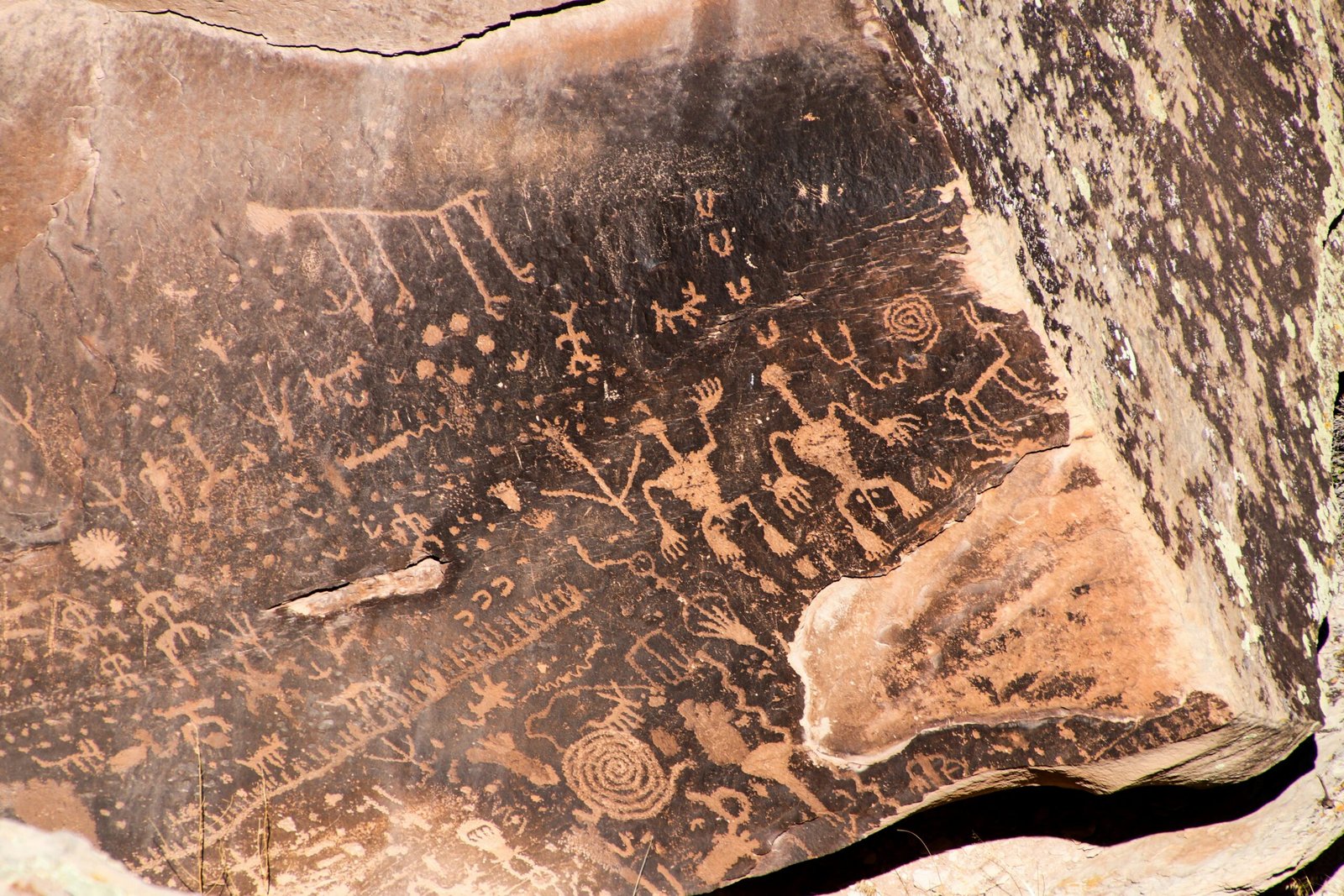 a rock with hundreds of petroglyphs on it.