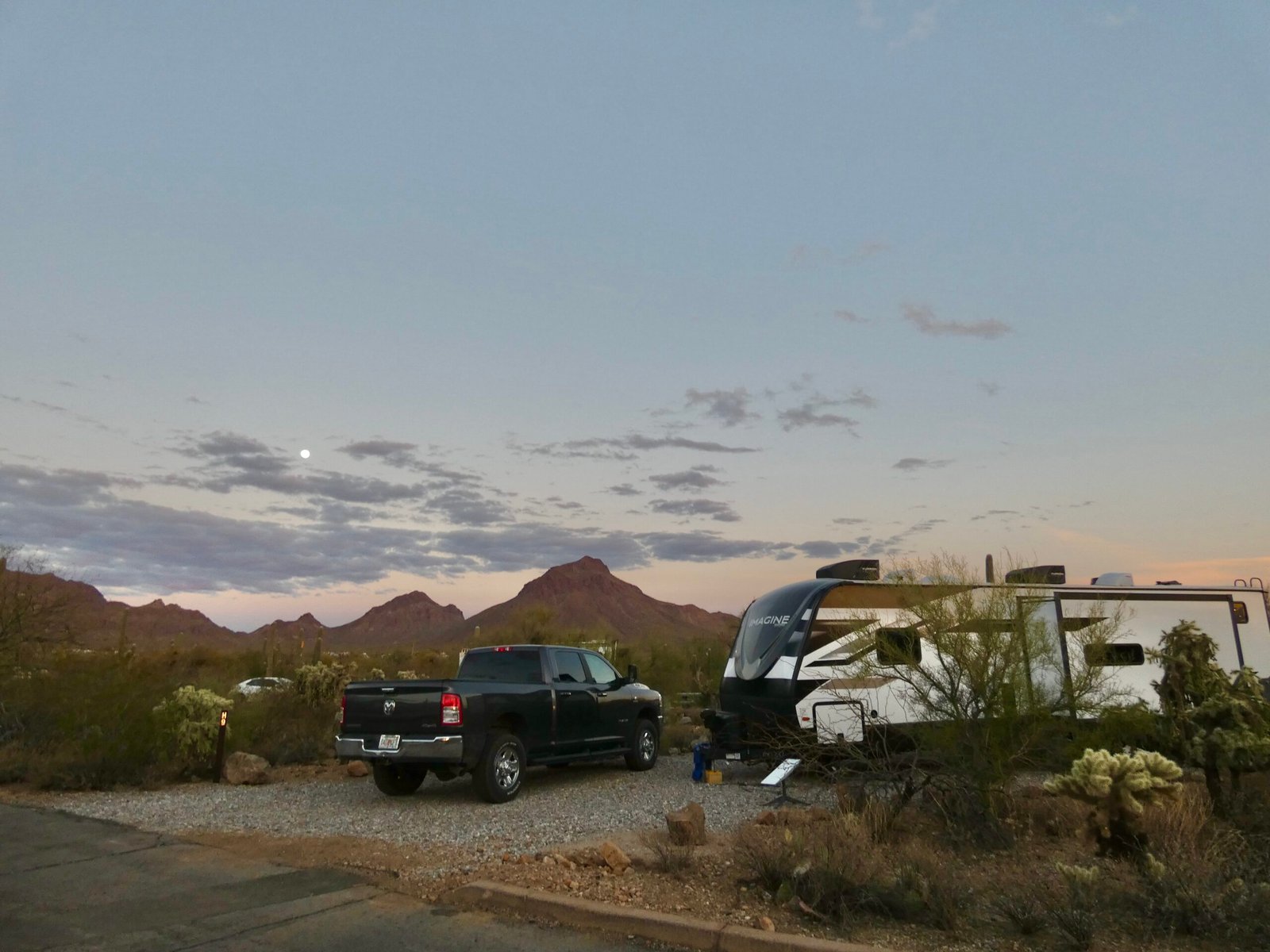 saguaro national park