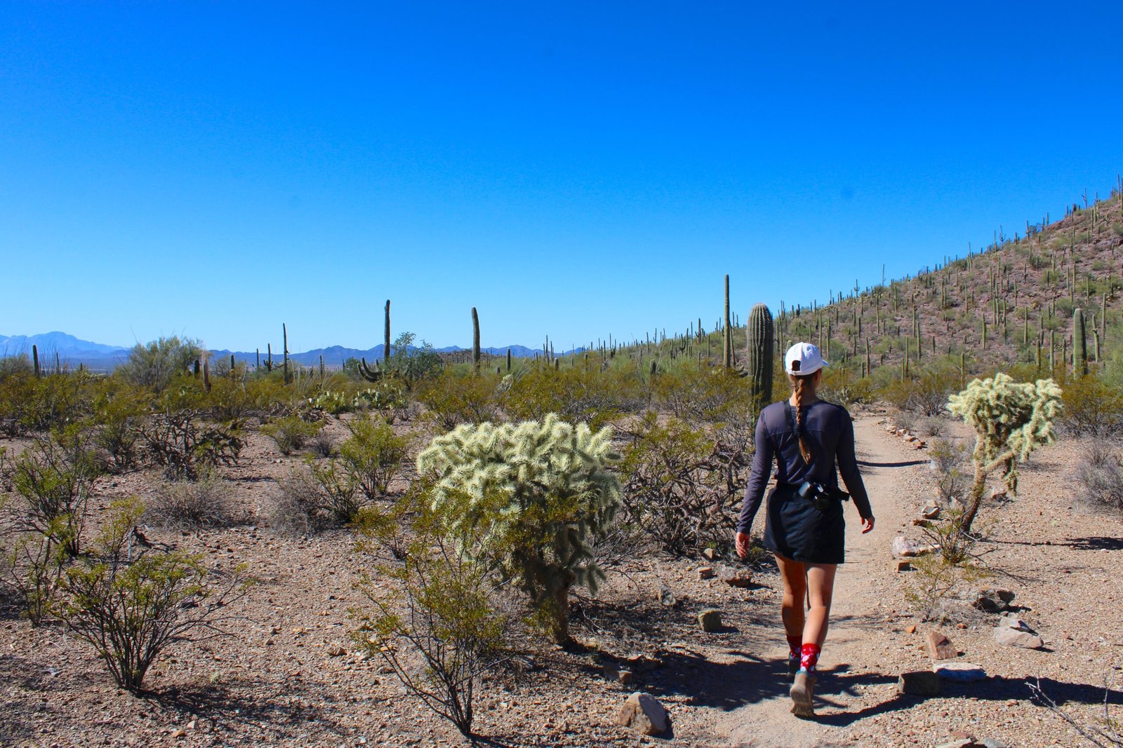 person on trail in saguaro national park