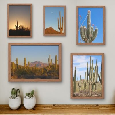 The Saguaro Print Bundle