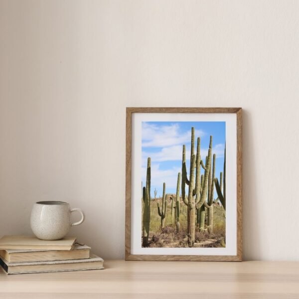 The Saguaro Print Bundle - Image 2