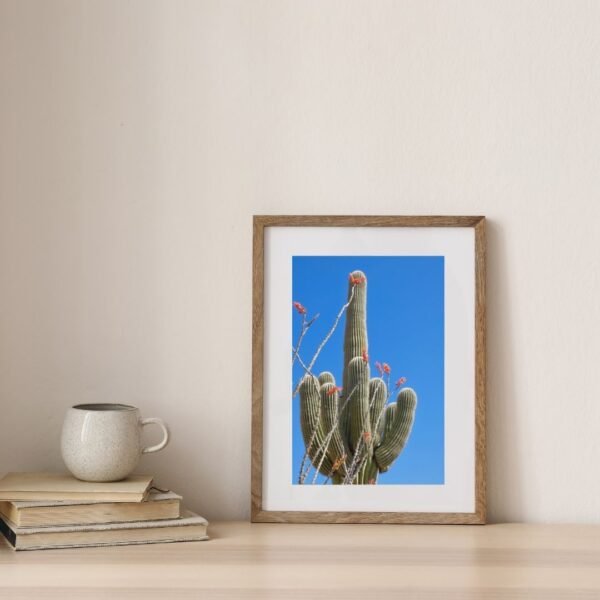 The Saguaro Print Bundle - Image 3