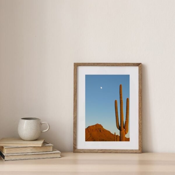 The Saguaro Print Bundle - Image 4
