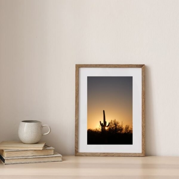 The Saguaro Print Bundle - Image 5