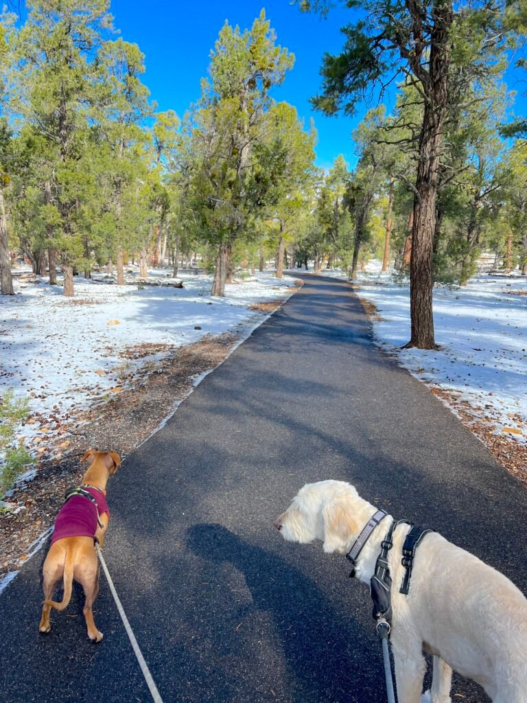 campgrounds in arizona
