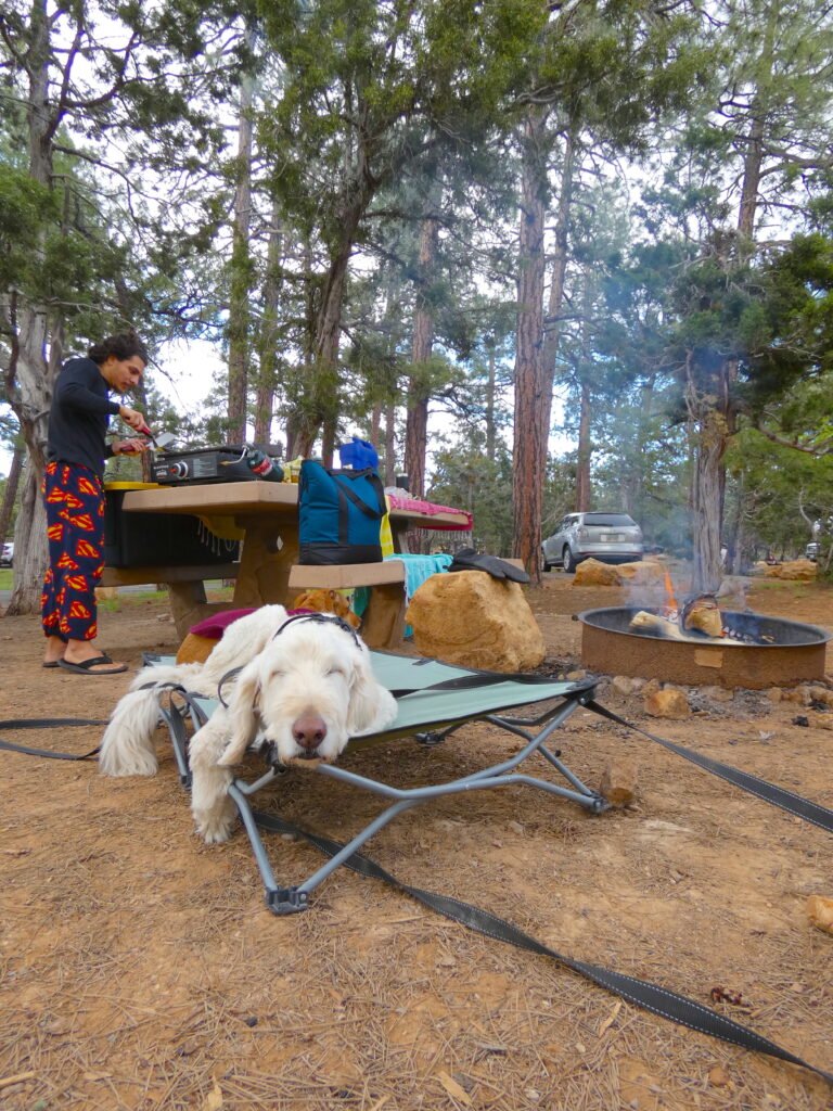 dog on dog bed with camp fire behind and person cooking on grill