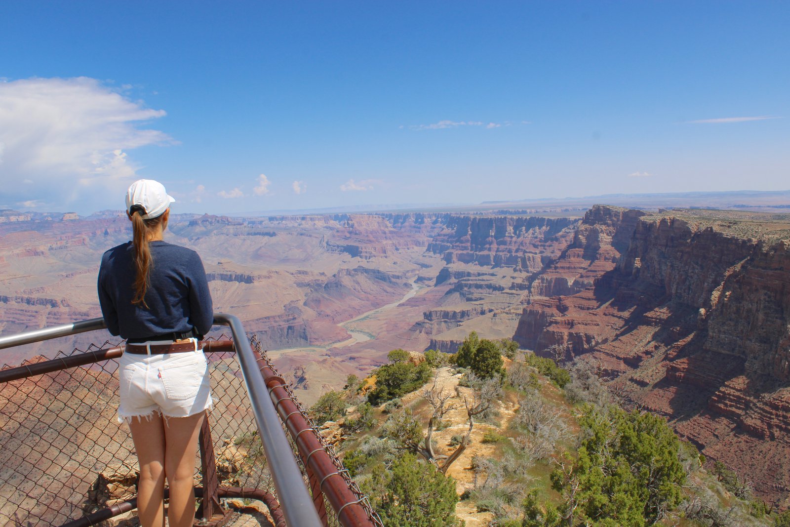 person looking out with the Grand Canyon in the distance