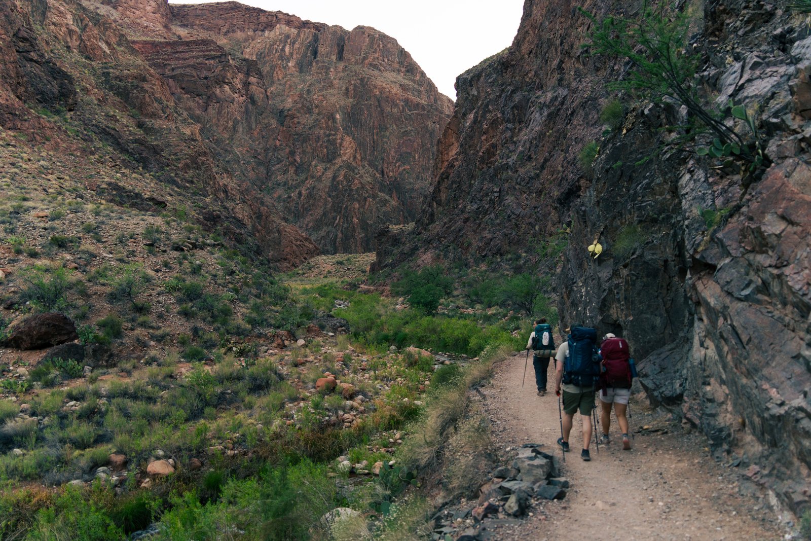 backpackers hiking on path at the bottom of the Grand Canyon